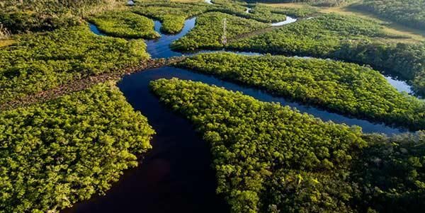 Amazonia inundada