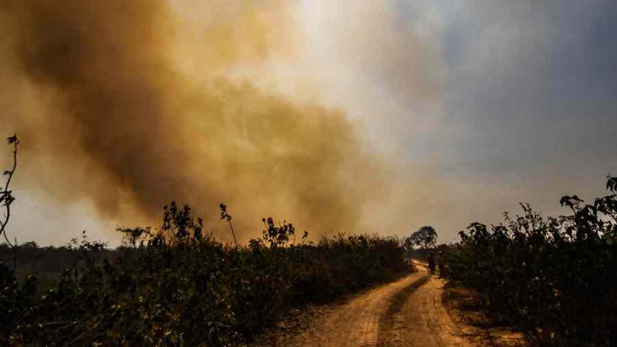 Center incendio pantanal foto henrique arakaki midiamax 1